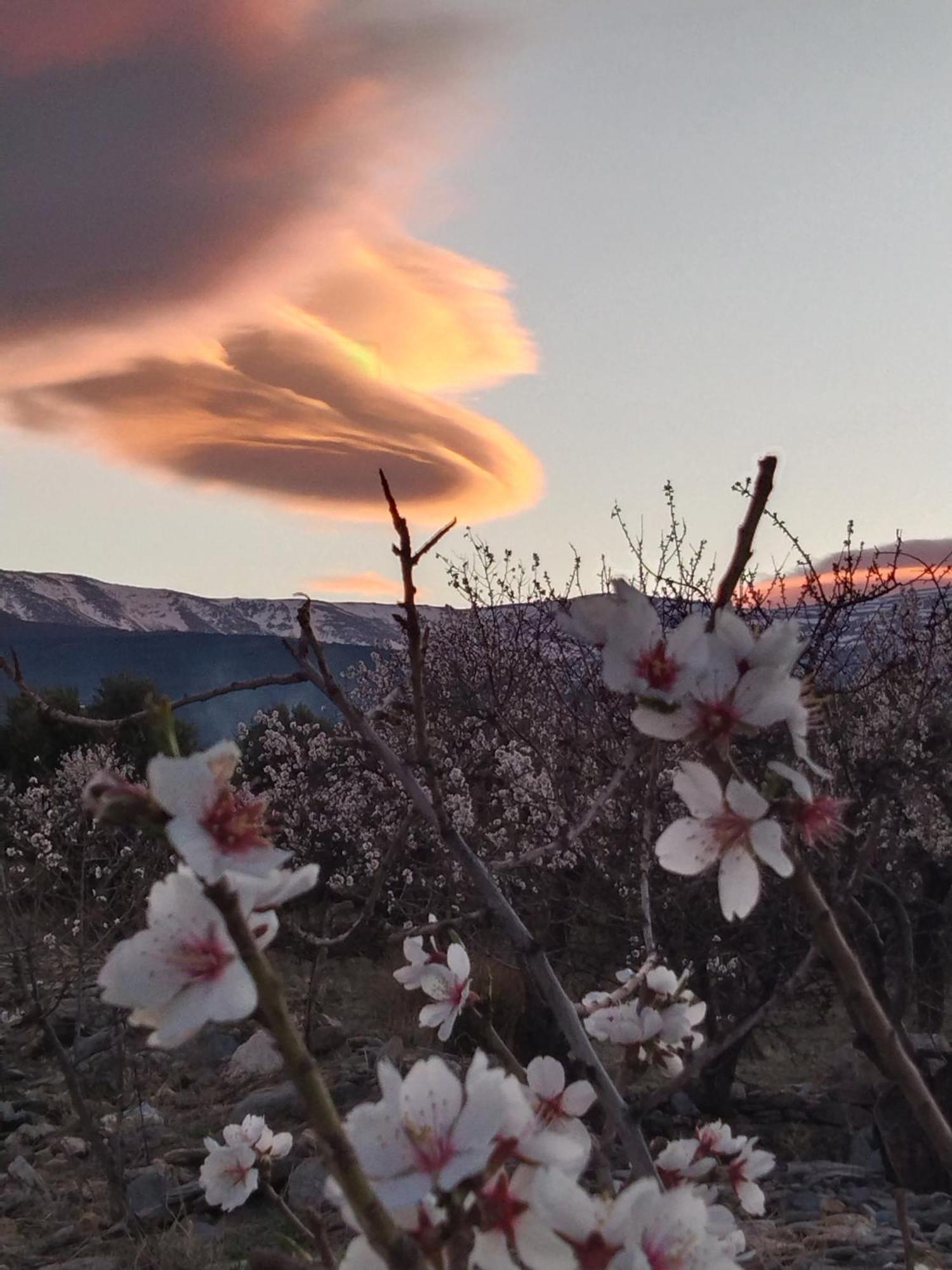 La Del Altozano Lanteira
