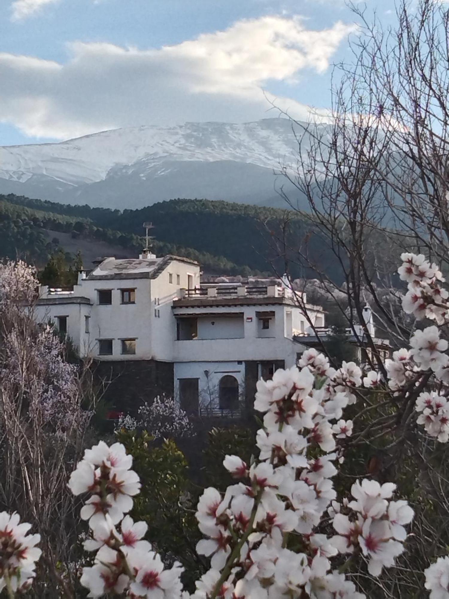 La Del Altozano 2*