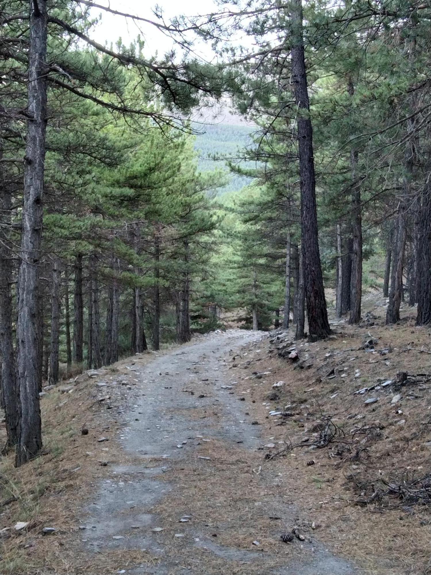 La Del Altozano Lanteira